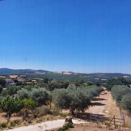 Fattoria La Campigliola Appartement Buitenkant foto